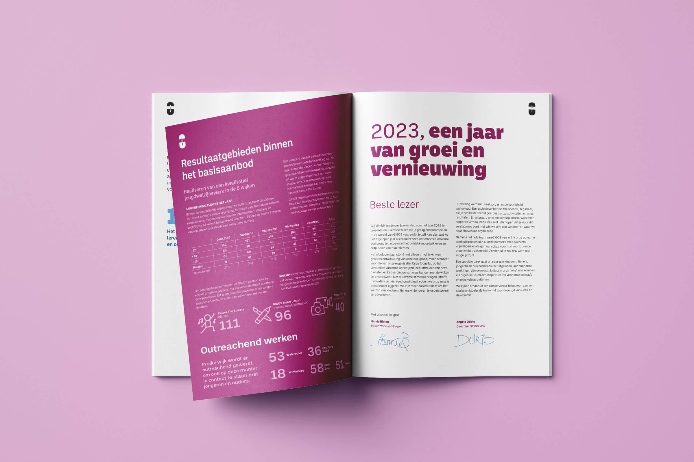 Jaarbeeld van GIGOS